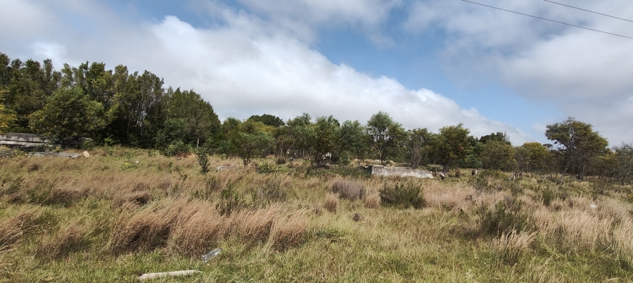 0 Bedroom Property for Sale in Greenbushes Eastern Cape